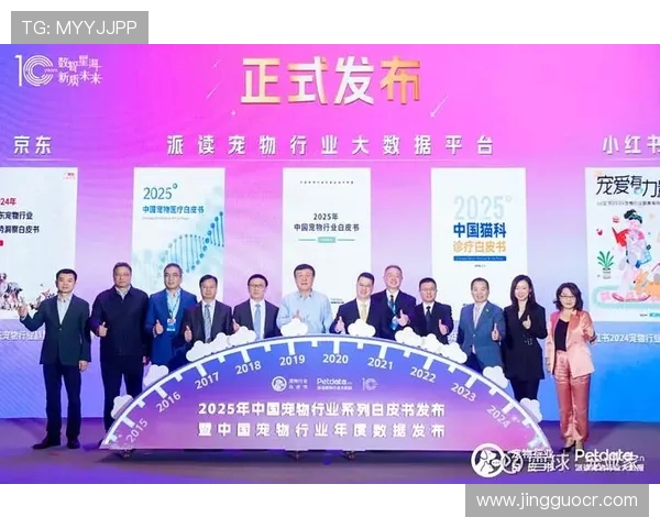 淬炼八年：中国各梯队外战的财富密码